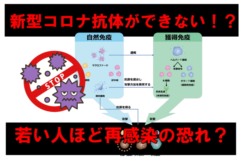 新型コロナ抗体ができない